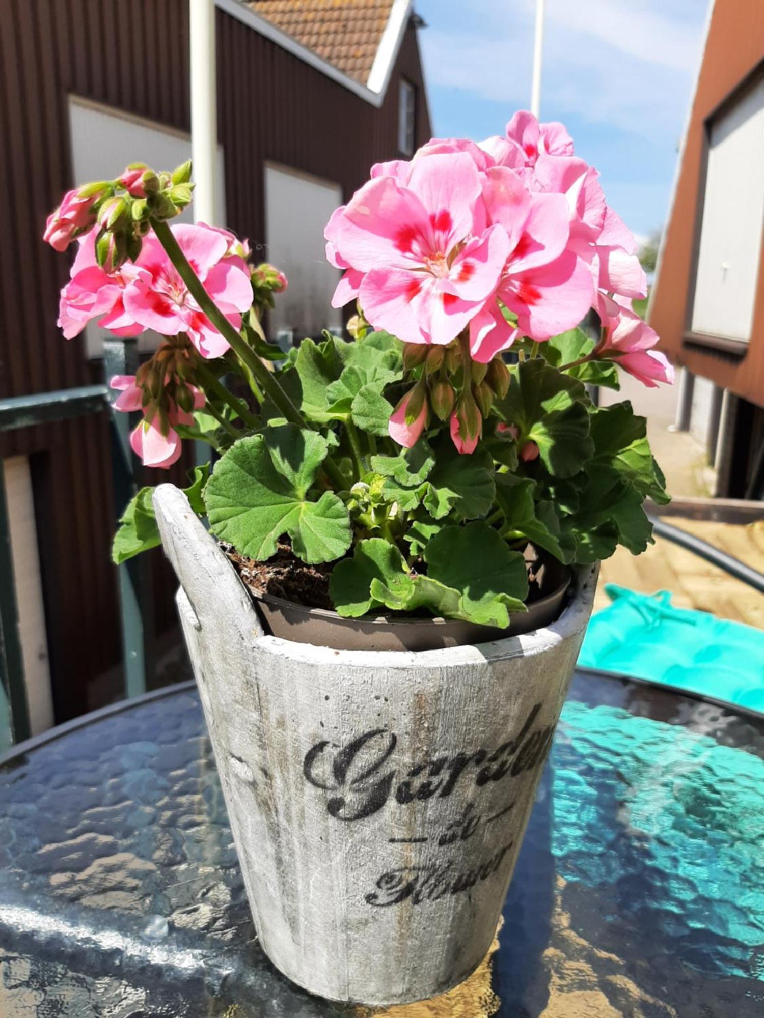 B&B Hulleste Westerland 외부 사진